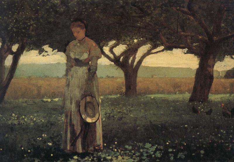 Winslow Homer The girl in the orchard china oil painting image